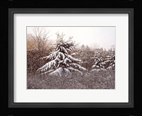 First Snow Fine Art Print