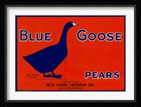 Blue Goose Pears Fine Art Print