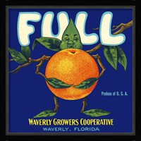 Full Florida Citrus Fine Art Print