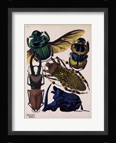 Insects, Plate 7 Framed Print