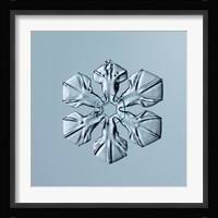 Sectored Plate Snowflake 001.3.02.2014 Fine Art Print