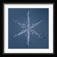 Simple Star Snowflake 002.2.16 Fine Art Print