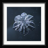 Snowflake 009.2.9.2014 Fine Art Print