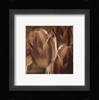 Copper Tulips Fine Art Print