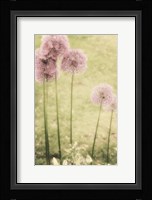 Forgotten Summer Fine Art Print