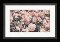 Ginger Poppies Fine Art Print