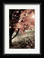 October Ginger Fine Art Print