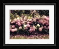Diamond Pink Fine Art Print