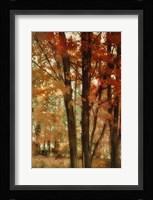 Red Forest Fine Art Print