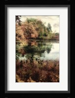 Song of the Season Fine Art Print