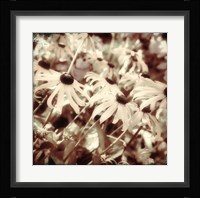 To the Sun Fine Art Print