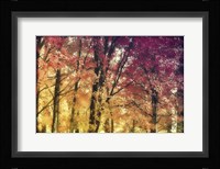 Trees Fine Art Print