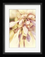 Whispers and Wantings Fine Art Print