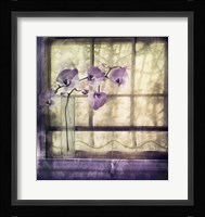 Window Orchids Fine Art Print