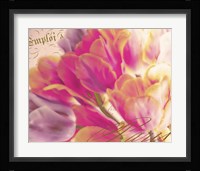 Tulip Glow Fine Art Print