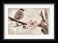 Plum Blossom Fine Art Print