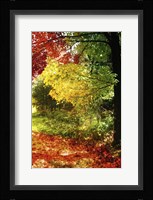 New England Autumn III Framed Print