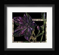 Balloon Flower Fine Art Print