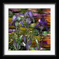 Sunset Irises Fine Art Print