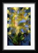 Yellow Sunflower Fine Art Print