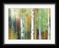 Morning Trees Fine Art Print