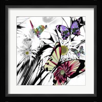 Black and White Daisies Framed Print