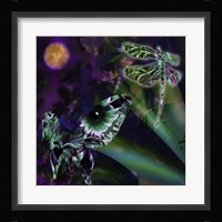 Night Safari Fine Art Print