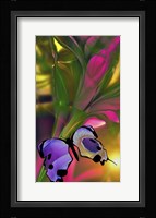 Transformation Fine Art Print