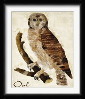 Brown Owl Fine Art Print