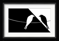 Black and White Birds Fine Art Print