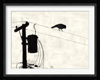 Telephone Bird Fine Art Print