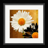 Eclipse Fine Art Print