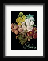 Asters Fine Art Print