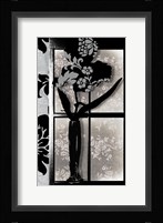 Asian Iris in Window Fine Art Print