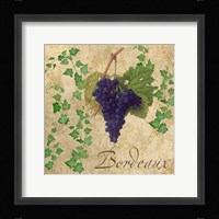 Bordeaux Framed Print