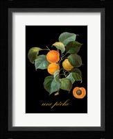 Unpeche Framed Print