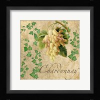Chardonnay Framed Print