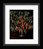 Chili Peppers Framed Print