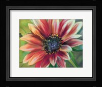Sundrenched Fine Art Print
