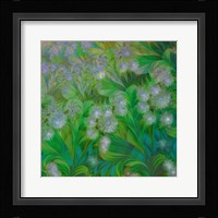 Dandelion Nap Framed Print