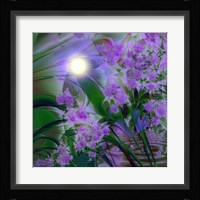 Purplescape Fine Art Print