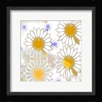 Playful Daisies Fine Art Print