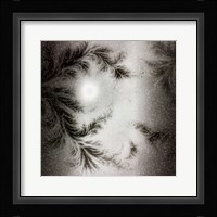 Once It Was Snowing Fine Art Print