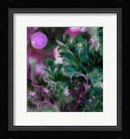 Moon In Bloom Framed Print