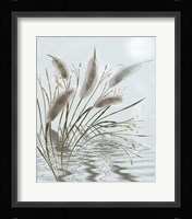 Mourning Willow Pond Fine Art Print
