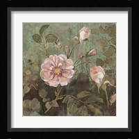 November Buds Fine Art Print