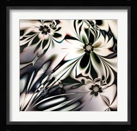 Fly by Night Fine Art Print