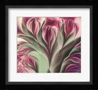 Softly Fine Art Print