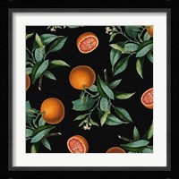 Nature's Bounty -  Oranges Framed Print