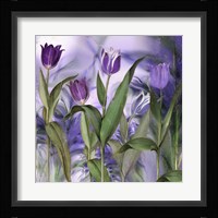 Purple Dream II Framed Print
